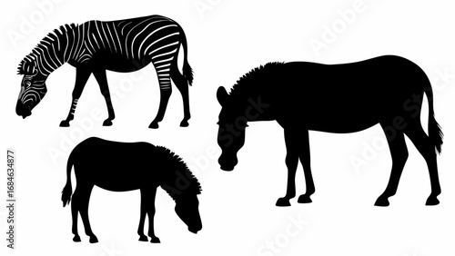 Three animals grazing in silhouette including a zebra and two donkeys in a black and white image | editable eps vectors