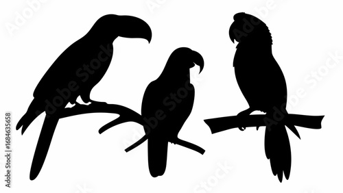 Silhouette depiction of three parrots perched on branches against a white background image viewable here | editable eps vectors