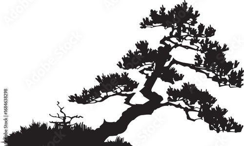 “Solar Harmony: The Yin and Yang of Light”