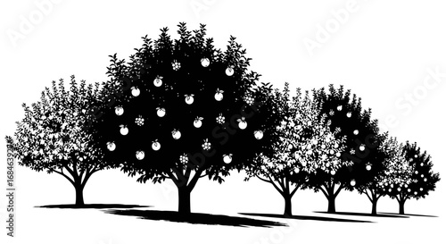 silhouette of fruit trees, apple orchard, graphic design, nature illustration, row of trees, black and white