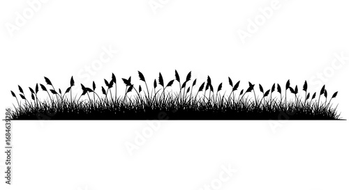 silhouette of grass and plants, nature scene, black and white, meadow, grassland, border, design element