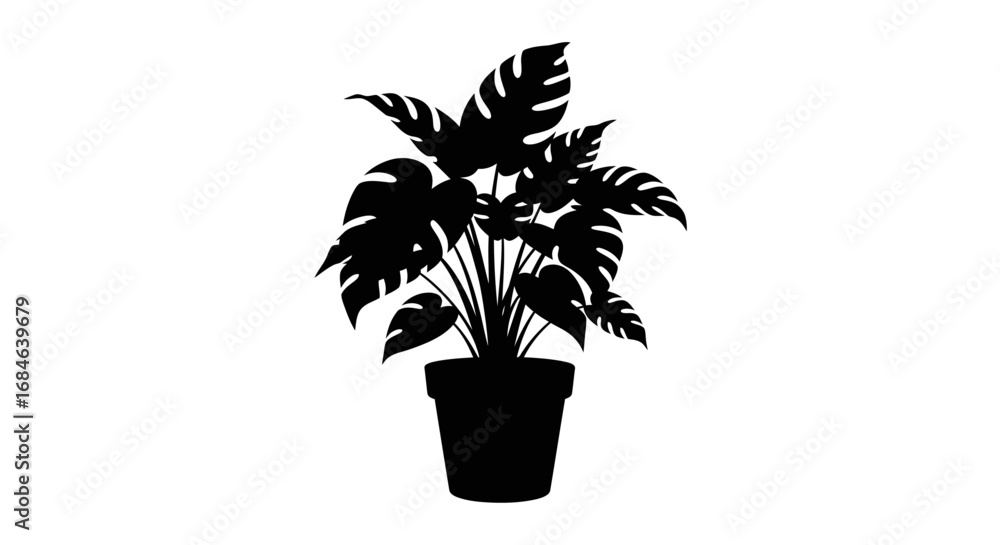 Obraz premium silhouette of potted monstera plant tropical leaf illustration, home decor, botanical