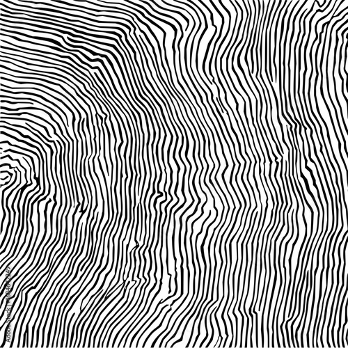 Abstract monochrome illustration featuring dense parallel and wavy lines creating a textured pattern