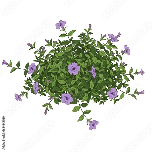 Purple Flowering Plant Bush Top View Vector Illustration