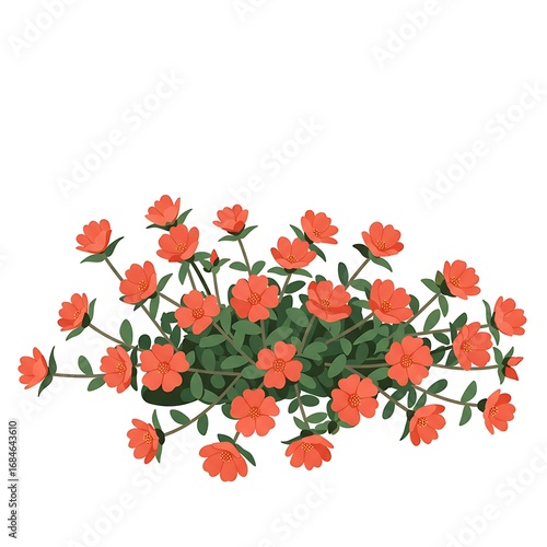 Vibrant Red-Orange Flowers with Green Leaves Illustration on White Background