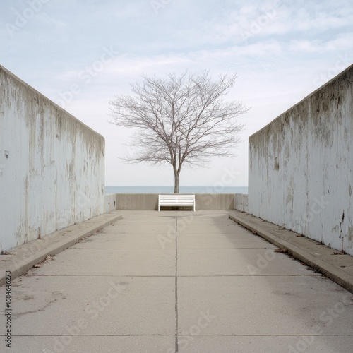 Solitary Tree at the End of the Passage