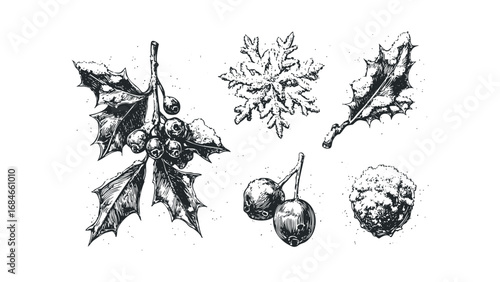 Hand-drawn winter sprigs with holly berries and snowflake for holiday greeting. Vector hand drawn illustration