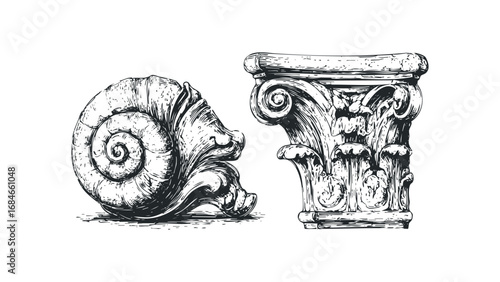 Intricate carved stone column capital and ammonite fossil sketch. Vector hand drawn illustration