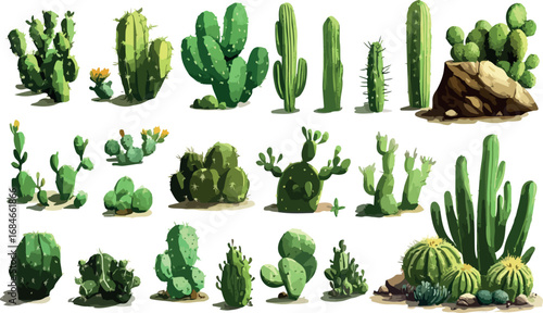 Collection of diverse desert cacti and succulents in various shapes and sizes isolated on white