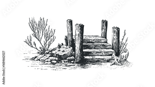 Wooden dock steps leading to water with beach vegetation and starfish. Vector hand drawn illustration