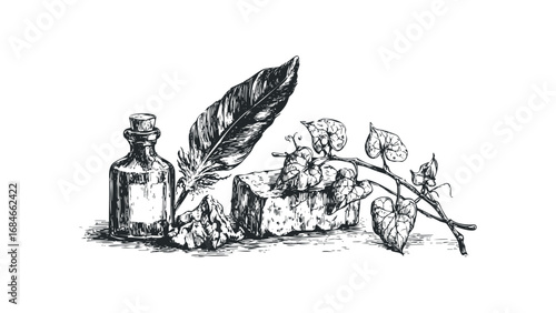 Vintage quill pen with potion bottle and vine on transparent background. Vector hand drawn illustration