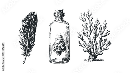Vintage Feather, Corked Bottle with Specimen, and Coral Branch Graphic Collection. Vector hand drawn illustration