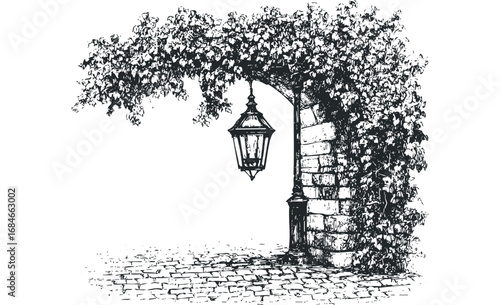 Arched Pathway with Hanging Lantern and Vine Overgrowth. Vector hand drawn illustration