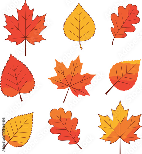 Colorful autumn leaves falling gently from trees in forest during beautiful fall season, creating vibrant and peaceful atmosphere.