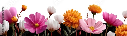 Dainty wildflowers forming a gentle border concept. A vibrant display of colorful flowers in full bloom, symbolizing beauty.