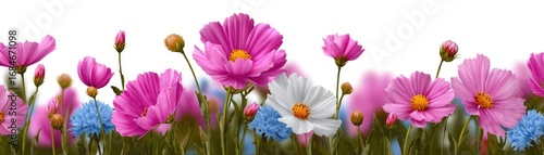 Dainty wildflowers forming a gentle border concept. A vibrant field of colorful flowers in full bloom, inviting nature.
