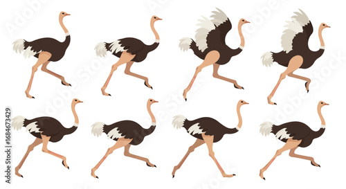 Dynamic ostrich running animation sequence captures avian speed and grace for captivating visual projects