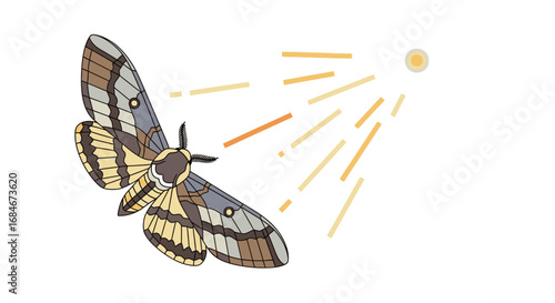 Majestic moth drawn to warm light, symbolizing attraction and natural beauty