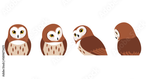 Charming group of stylized owls showcasing various poses and perspectives for engaging designs