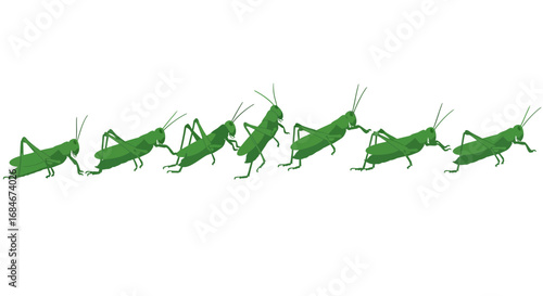 Green grasshoppers marching in a line creating a natural pattern for pest control or wildlife content.