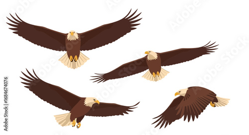 Majestic bald eagles soar gracefully in flight, showcasing freedom and power in dynamic compositions