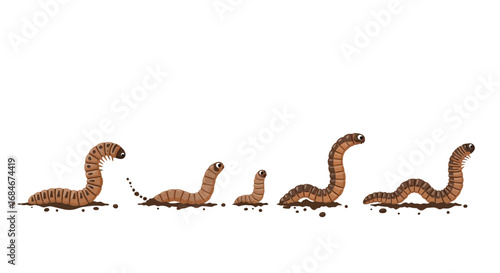 Adorable cartoon earthworms emerge from soil showing growth stages and movement