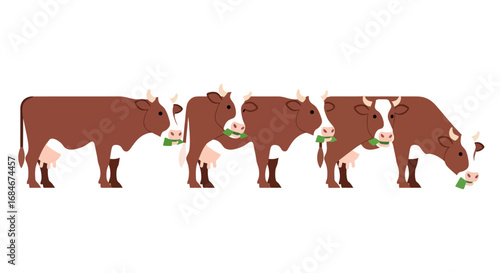 Charming brown cows grazing peacefully in a row, perfect for agricultural themes and rural charm.