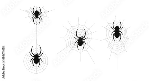 Spiders and intricate webs create a spooky Halloween or horror theme with a sense of suspense and dread
