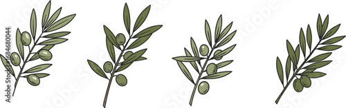 Hand-drawn olive branches with fresh green olives, natural Mediterranean plants, healthy food ingredients, botanical illustration, organic nature, herbal collection