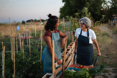 Canvas Print Farmers chatting next to wooden fence in community garden during sunset