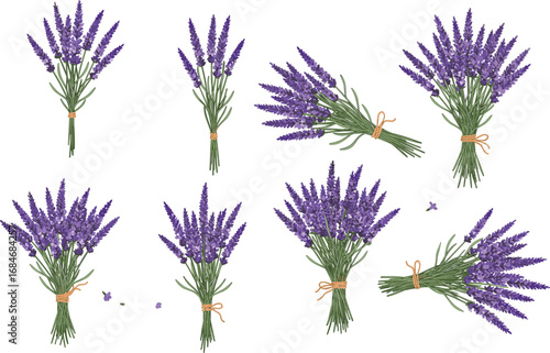 Lavender flower bundle illustration, purple floral bouquet clipart, herbal plant drawing, vintage botanical design, aromatic lavender bunch vector art