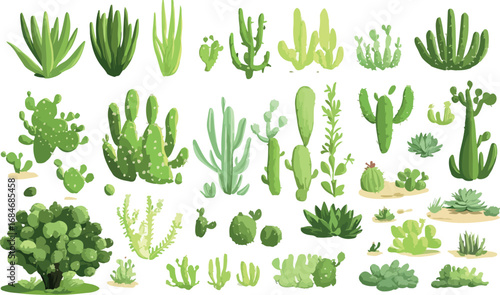Collection of diverse desert succulents and cacti plants in various shapes and sizes isolated on white