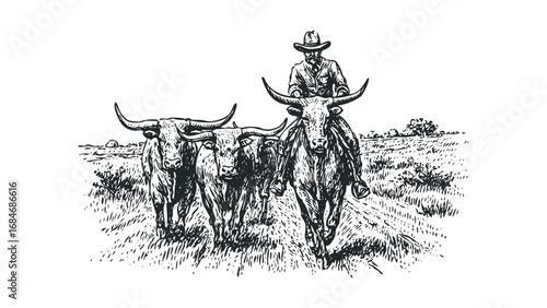 Cowboy driving longhorn cattle across grassy plain in vintage sketch style. Vector hand drawn illustration