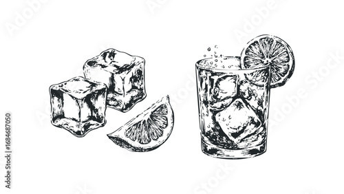 Hand-drawn sketch of a refreshing drink with ice cubes and lemon slices. Vector hand drawn illustration