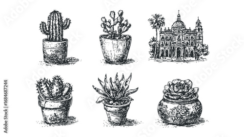 Collection of Potted Cacti and Architectural Sketch on Transparent Background. Vector hand drawn illustration