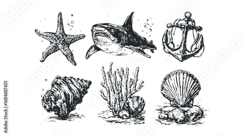 Collection of hand drawn ocean life and nautical objects. Vector hand drawn illustration