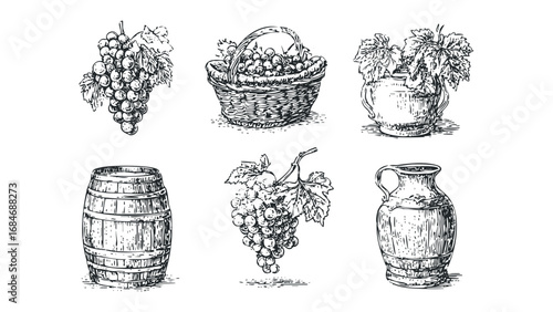 Vineyard harvest collection of grapes barrel vase and basket sketch. Vector hand drawn illustration