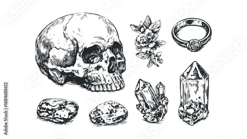 Hand Drawn Skull Crystal Ring and Rose Graphics. Vector hand drawn illustration