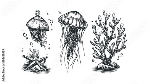 Oceanic life composition with jellyfish and coral. Vector hand drawn illustration