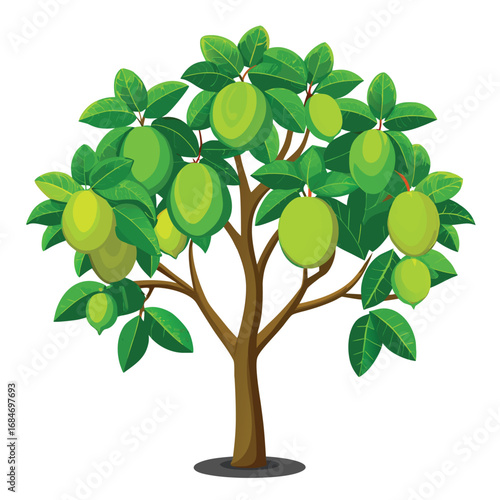 Lush guava tree with round green fruits and broad leaves, a healthy and detailed illustration on a clean white background, symbolizing a natural garden.