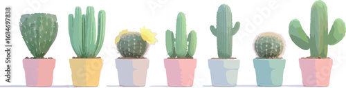 Collection of various small potted cacti and succulents arranged in a row against a white background