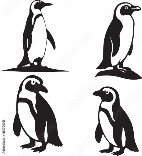 Charming african penguin standing proudly in a bold silhouette design