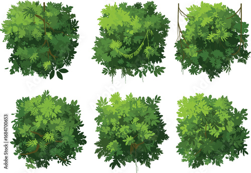 Tropical jungle bush top view, green foliage illustration, dense rainforest vegetation clipart, overhead leaf canopy, natural greenery background design