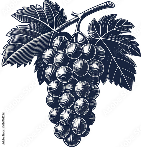 Grapes fruits line art design