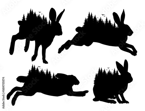 Wild hare silhouettes with coniferous forest.