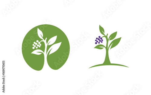 Tree leaf ecology nature  Healthy vegan concept element v4.49