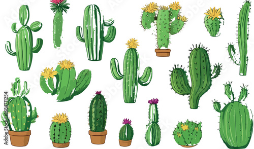 Collection of various green potted cacti and succulents with vibrant yellow and pink flowers on white background