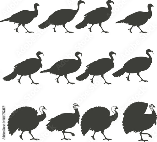Hand Drown Thanksgiving Turkey Vector illustration Silhouette 