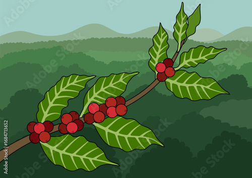 Illustration of a coffee branch with ripe red coffee berries and green leaves against a backdrop of forest hills landscape.