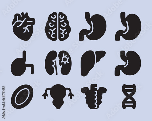 Human organ